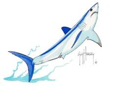 Mako Shark Emb.