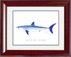 "Mako Shark" Grande Mini Print