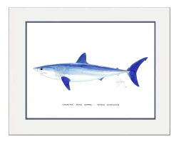 "Mako Shark" Grande Mini Print
