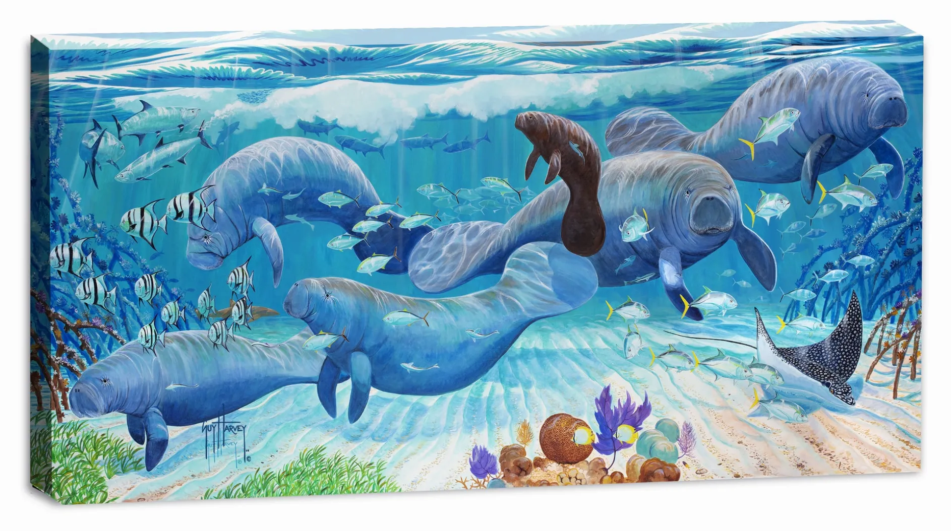 "Mangrove Refuge" Limited Edition Canvas Art