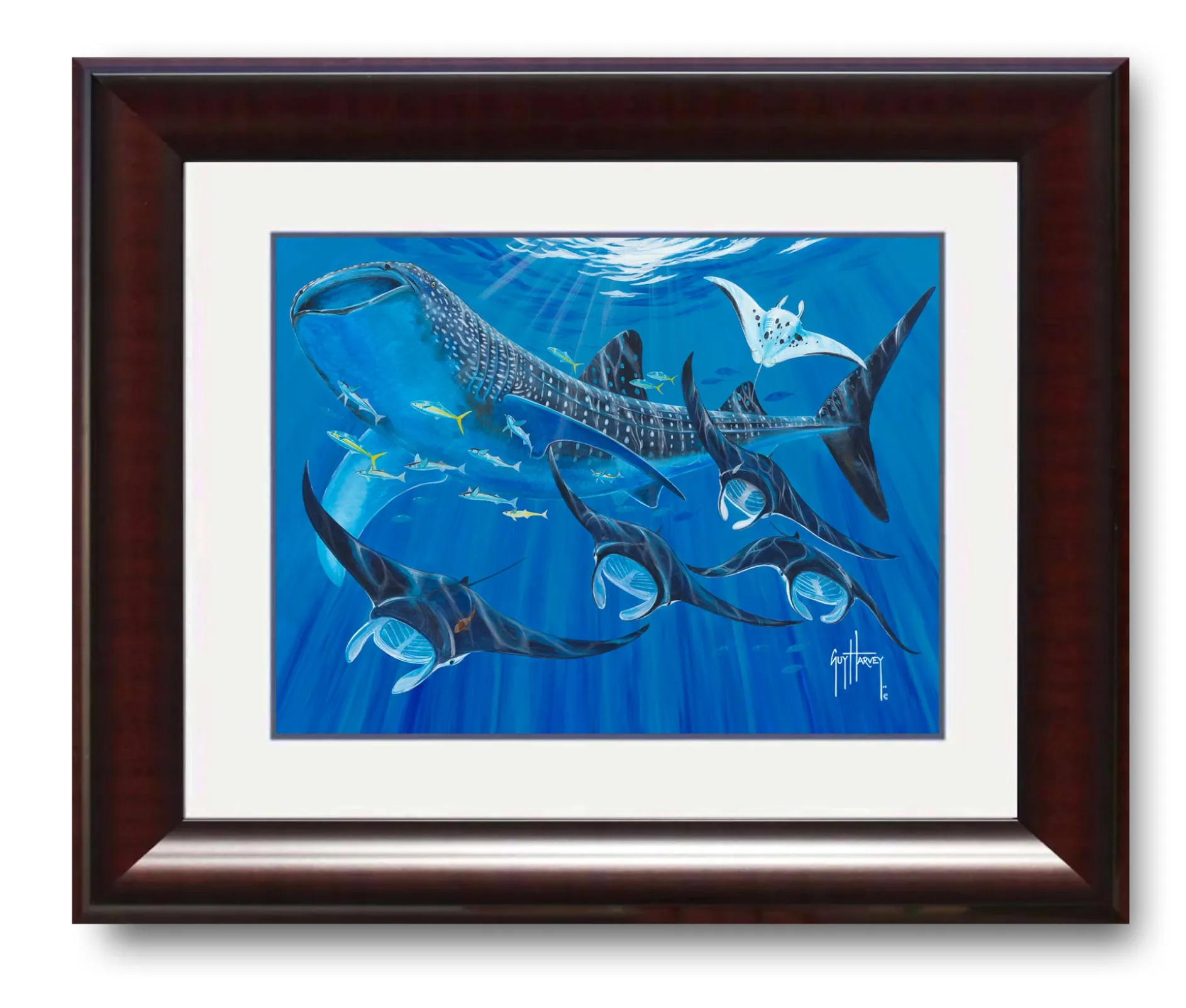 "Manta Train" Mini Print
