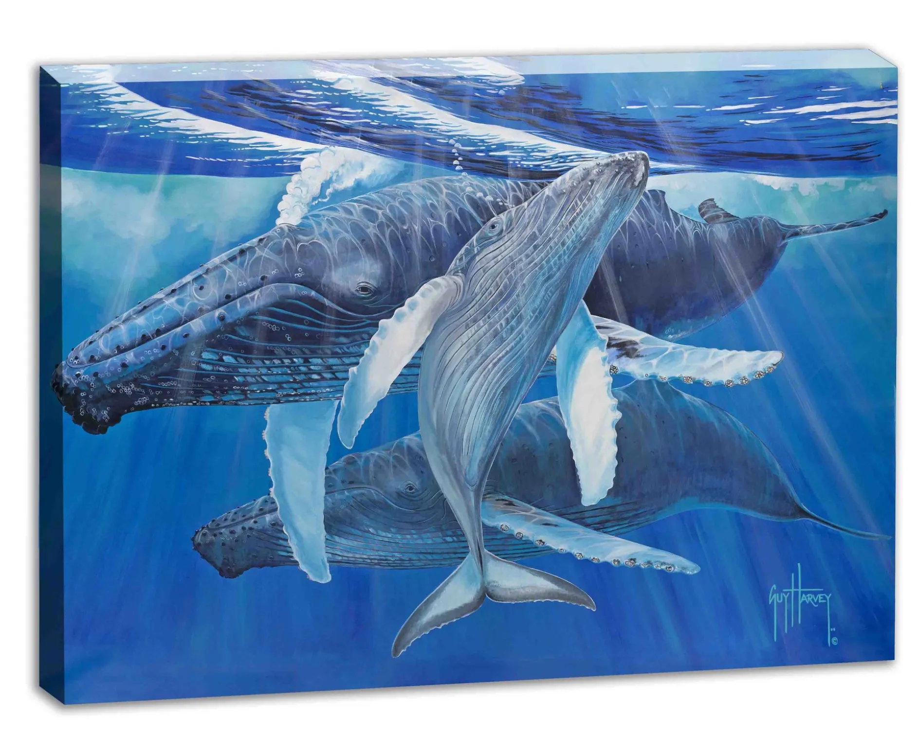 "Mother's Touch" Limited Edition Canvas Art