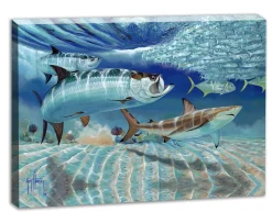 "Mullet Run" Limited Edition Canvas Art