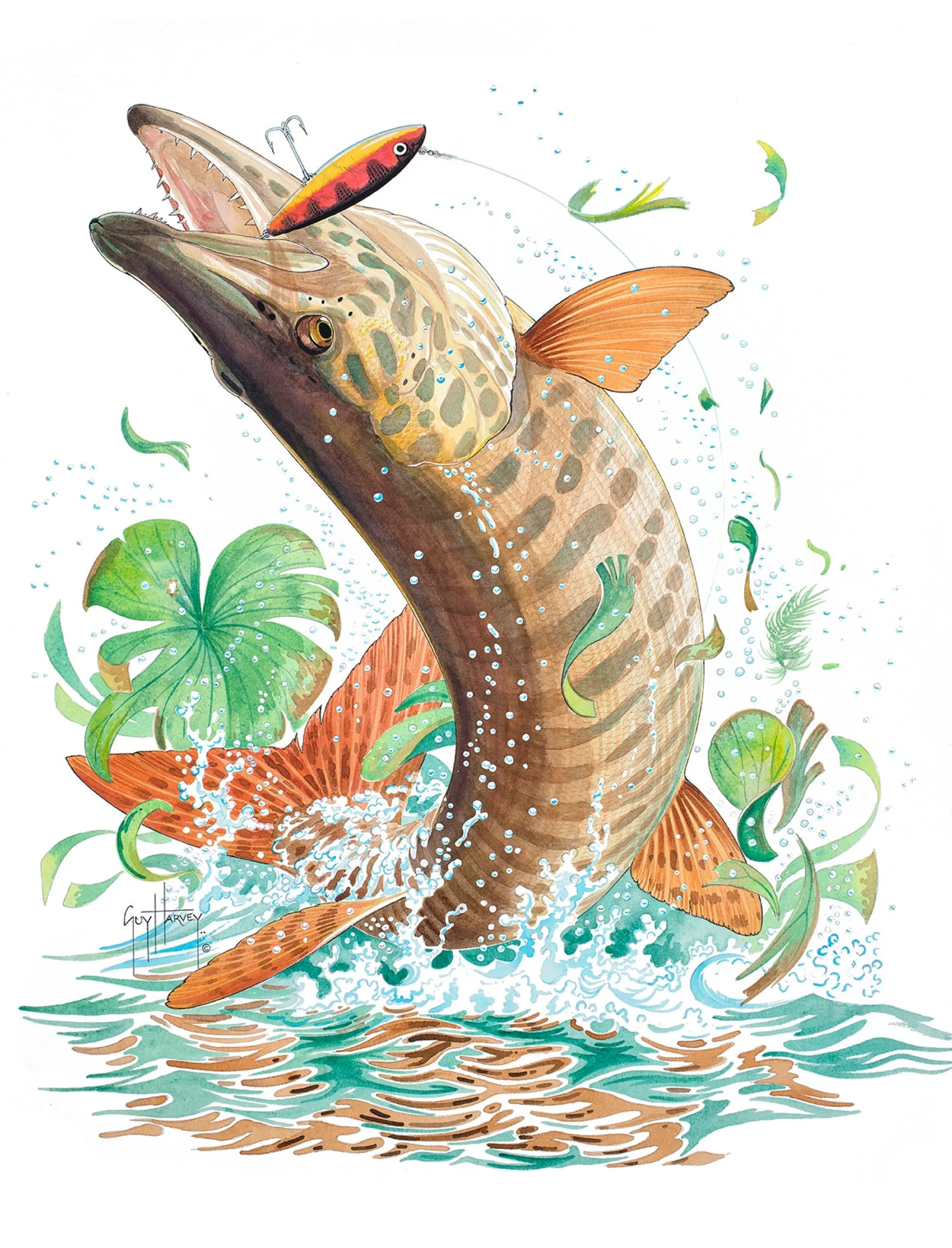MUSKIE