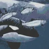 Northern Exposure Mosaic Mural - Small