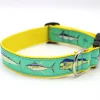 Offshore Dog Collar