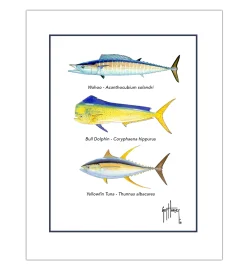 "Offshore Slam Species" Grande Mini Print