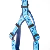 Old Man and Marlin Dog Harness
