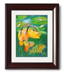 "Peacock Bass" Mini Print