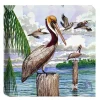 "Pelican II" Small Canvas Art