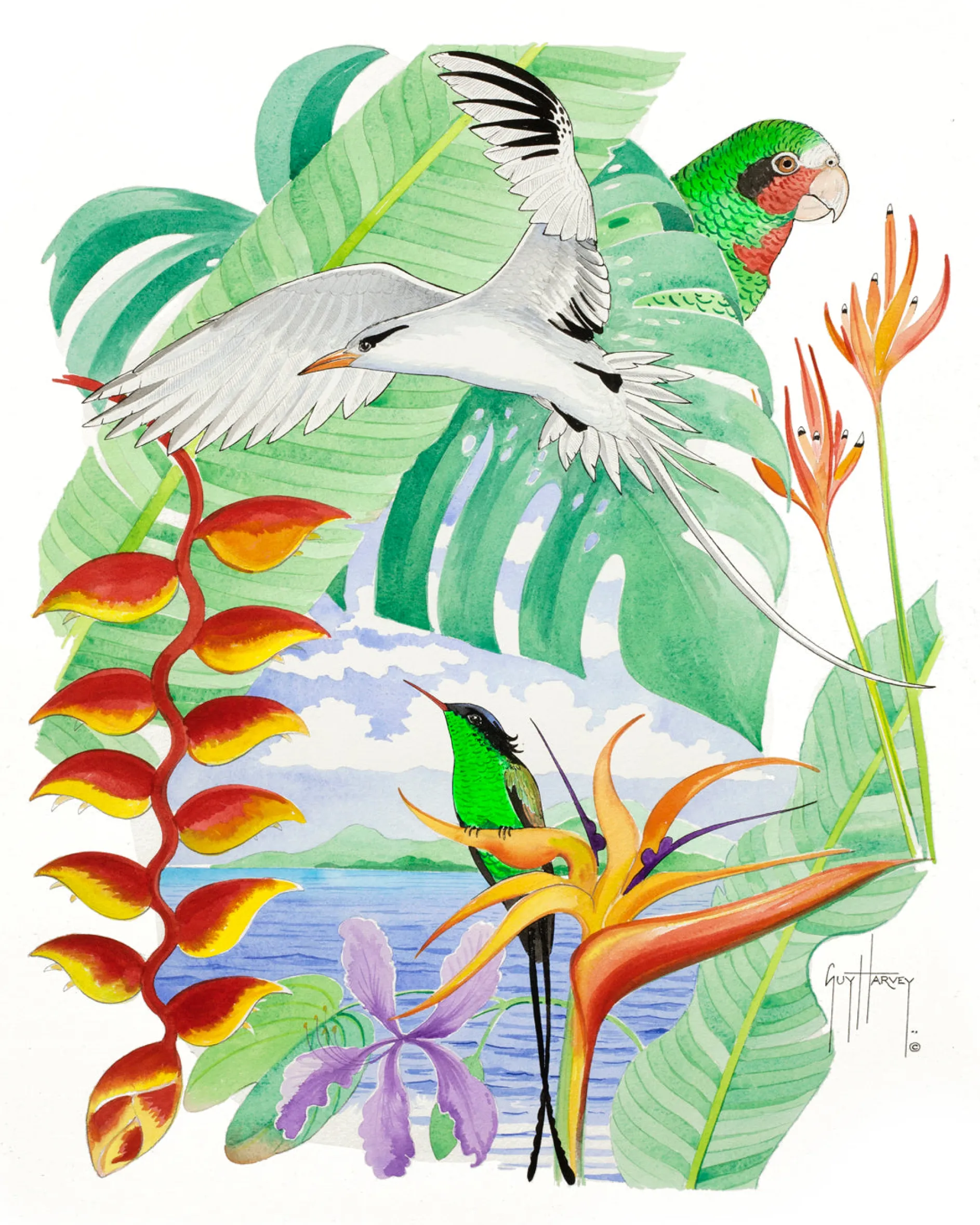 Protect Paradise I