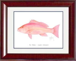 "Red Snapper" Grande Mini Print