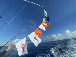 Sailfish Flag