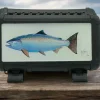 Salmon Case