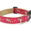 Sea Turtle Dog Collar