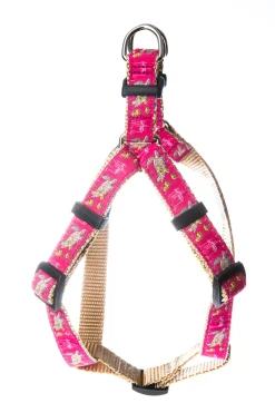 Sea Turtle Dog Harness