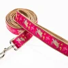 Sea Turtle Dog Leash