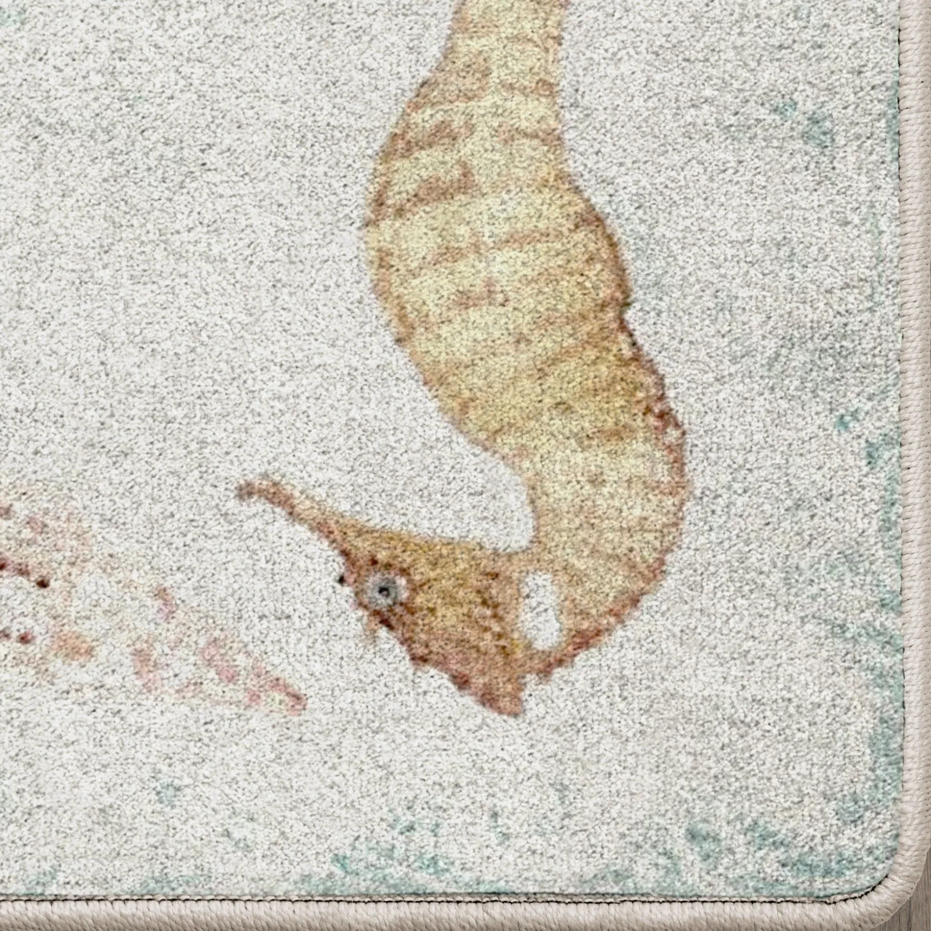 Seashell Swirl Area Rug