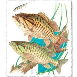 SMALLMOUTH BASS