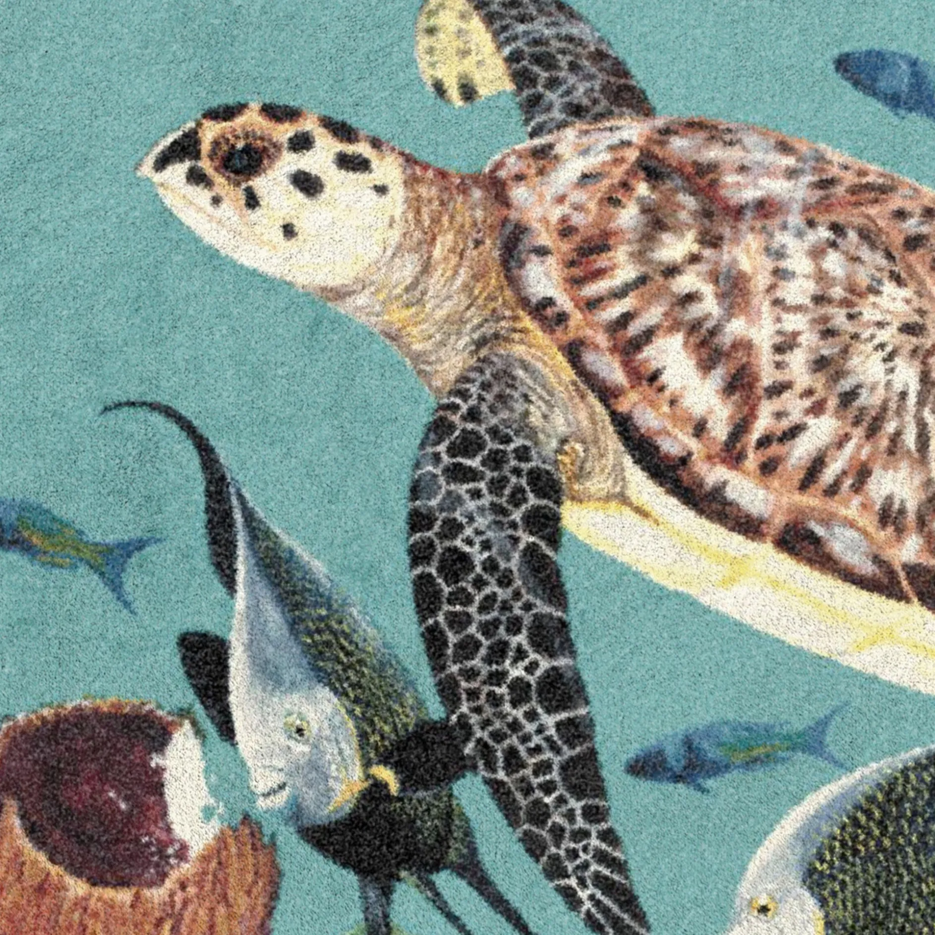 Sponge Garden Area Rug