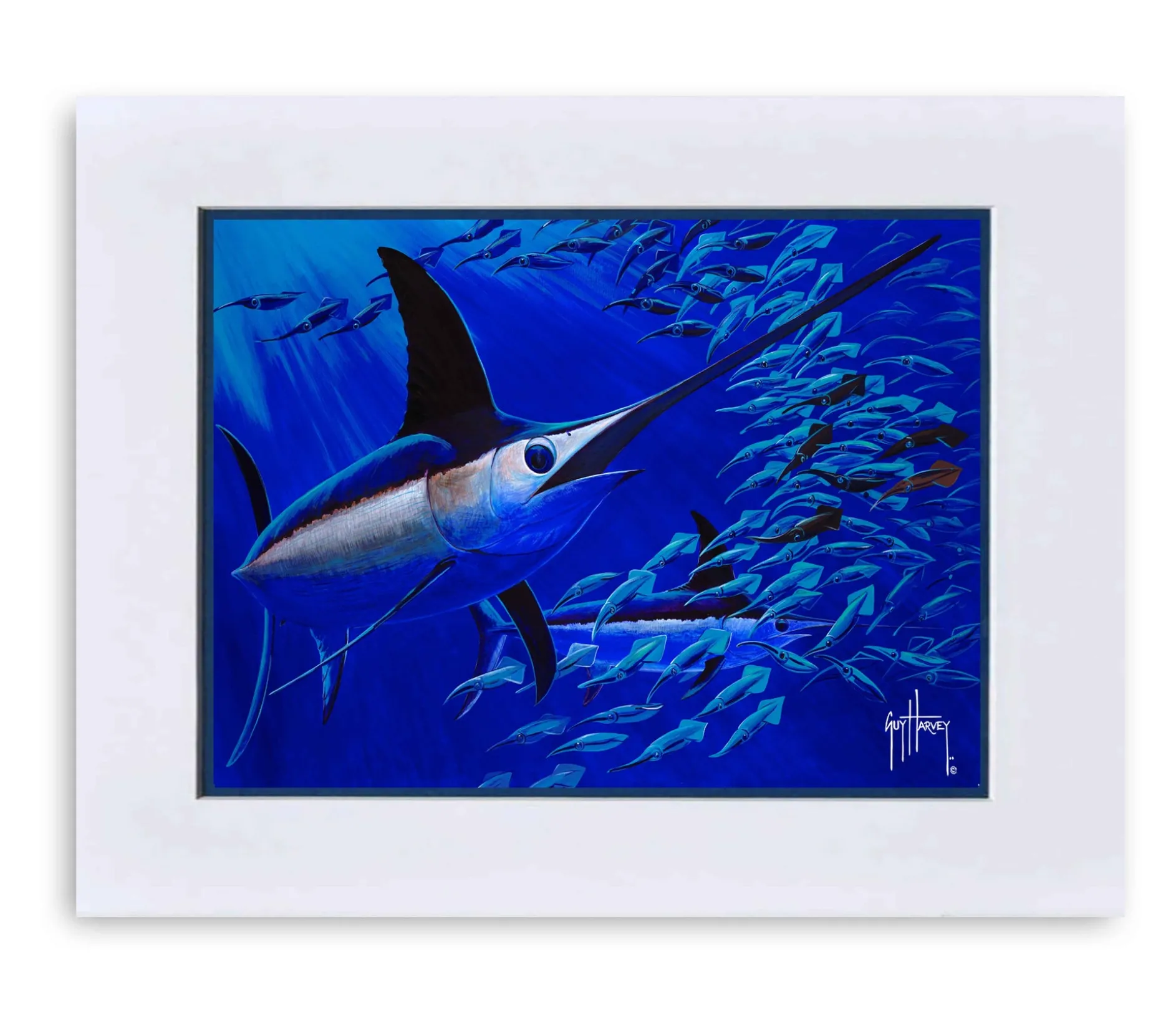 "Squid Row" Grande Mini Print