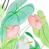 Streamertail & Anthuriums