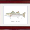 "Striped Bass" Grande Mini Print