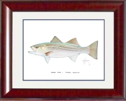 "Striped Bass" Grande Mini Print