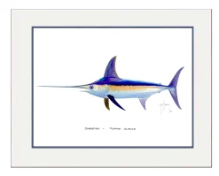 "Swordfish" Grande Mini Print