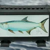 Tarpon Case