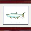 "Tarpon" Grande Mini Print