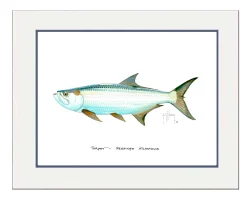"Tarpon" Grande Mini Print