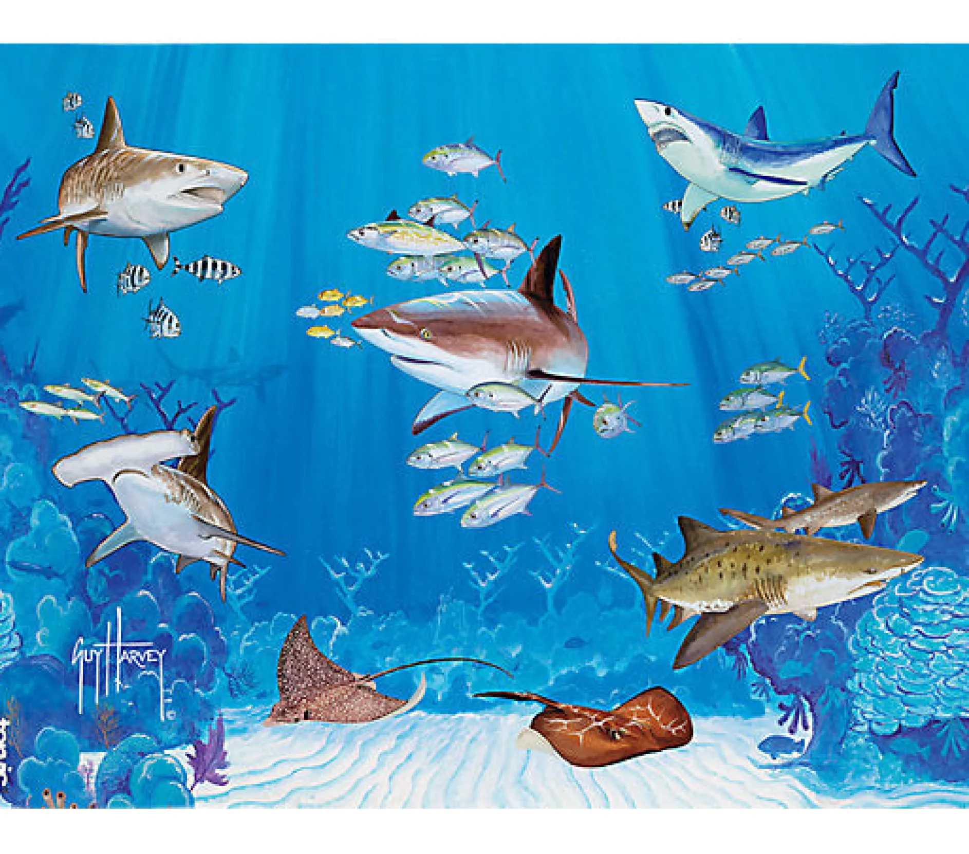 Tervis Shark Collage