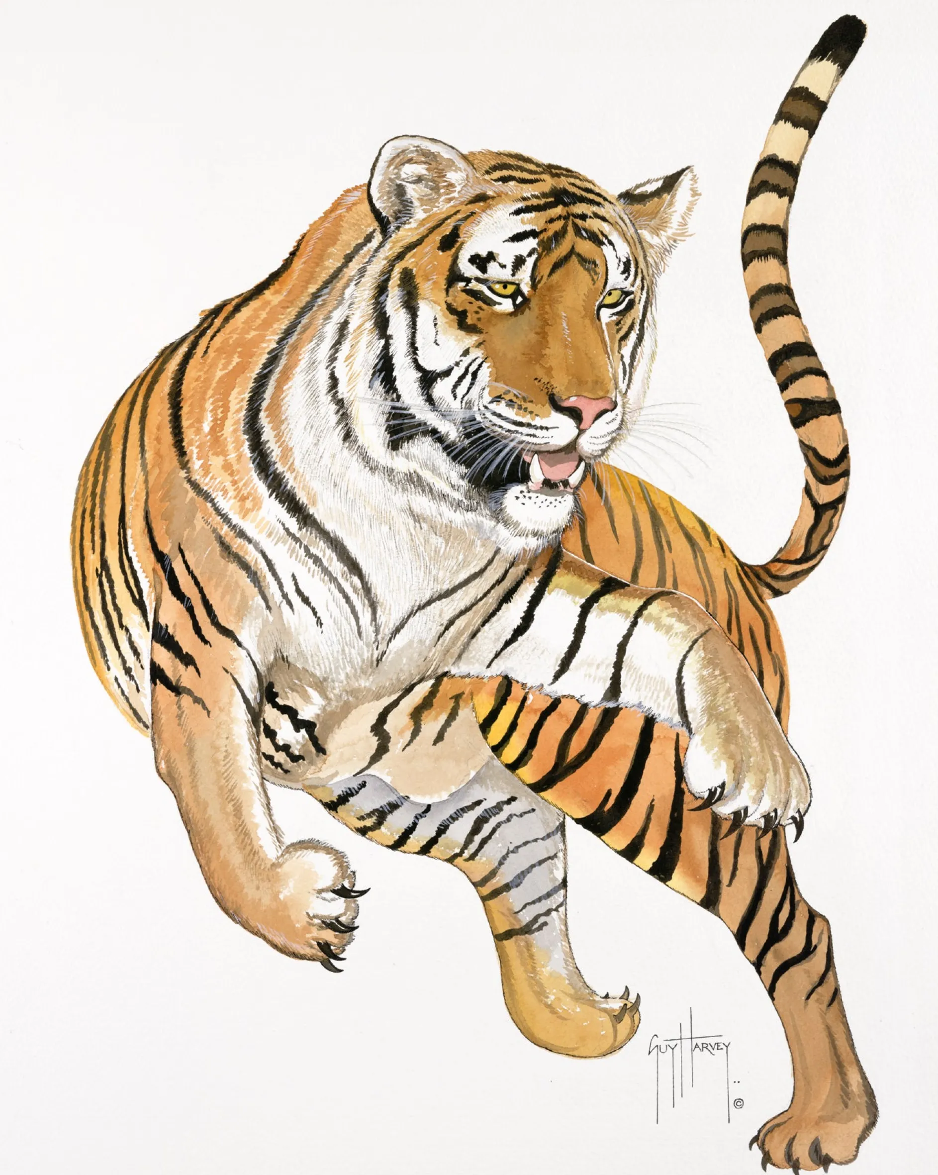 TIGER I