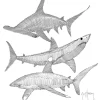 Triple Sharks Scribble