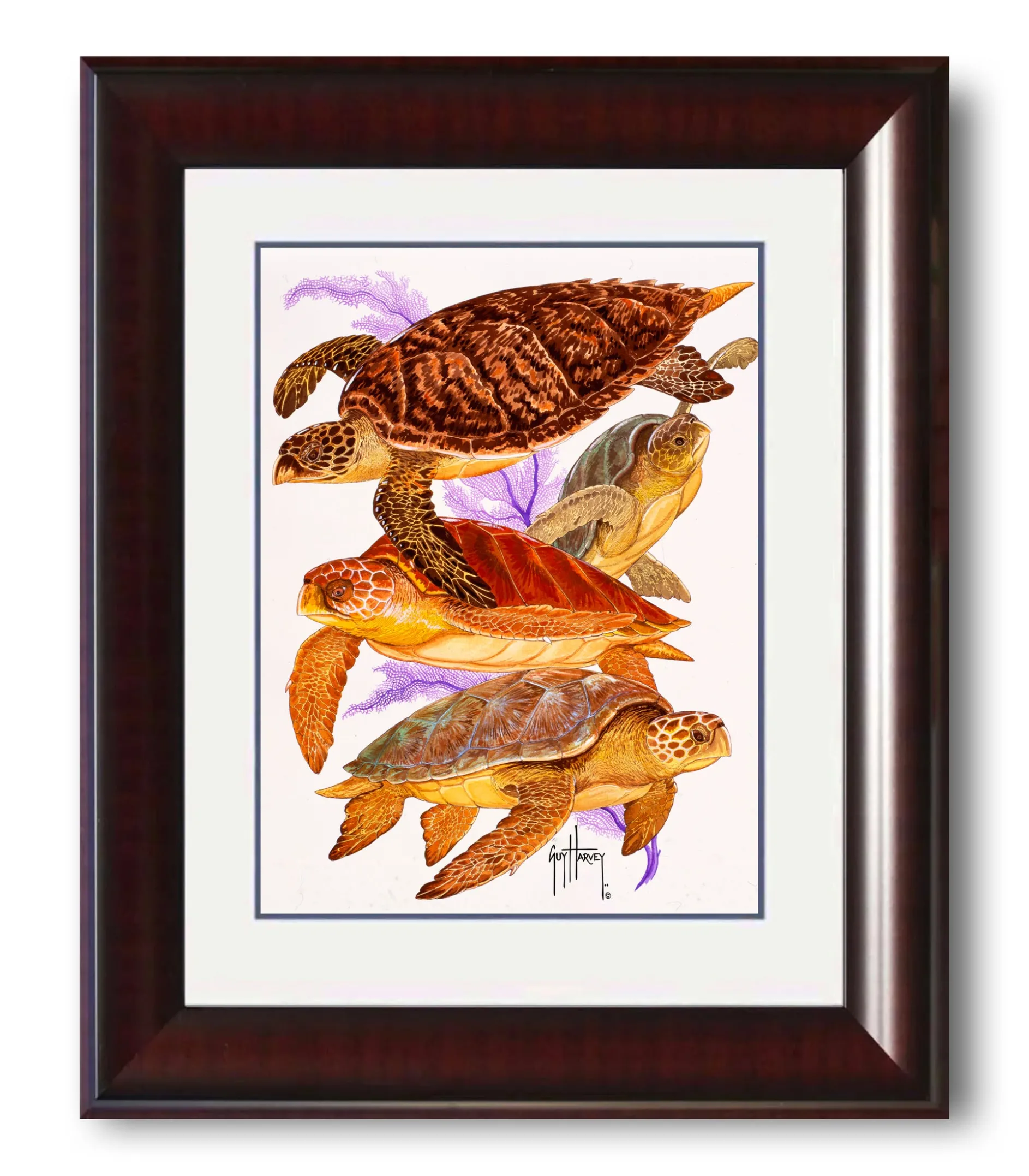 "Turtle Collage" Mini Print