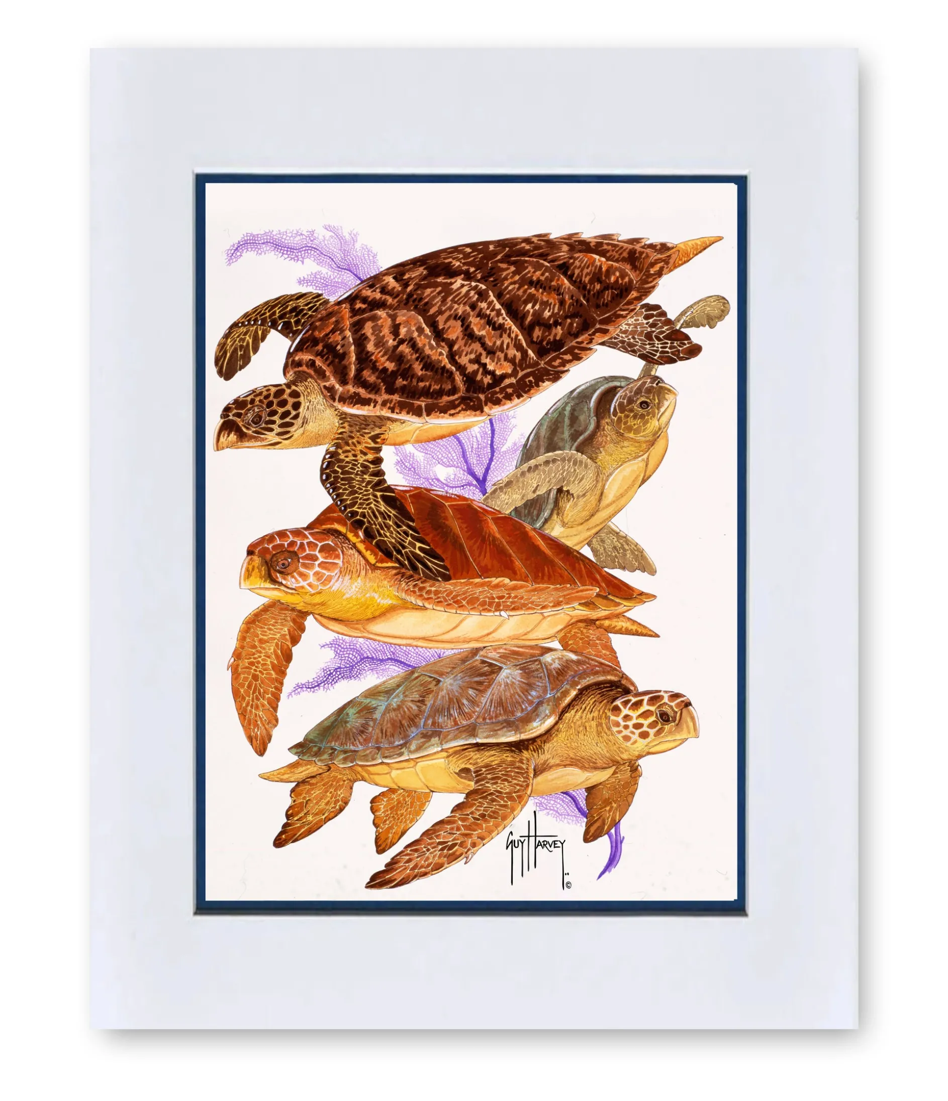 "Turtle Collage" Mini Print
