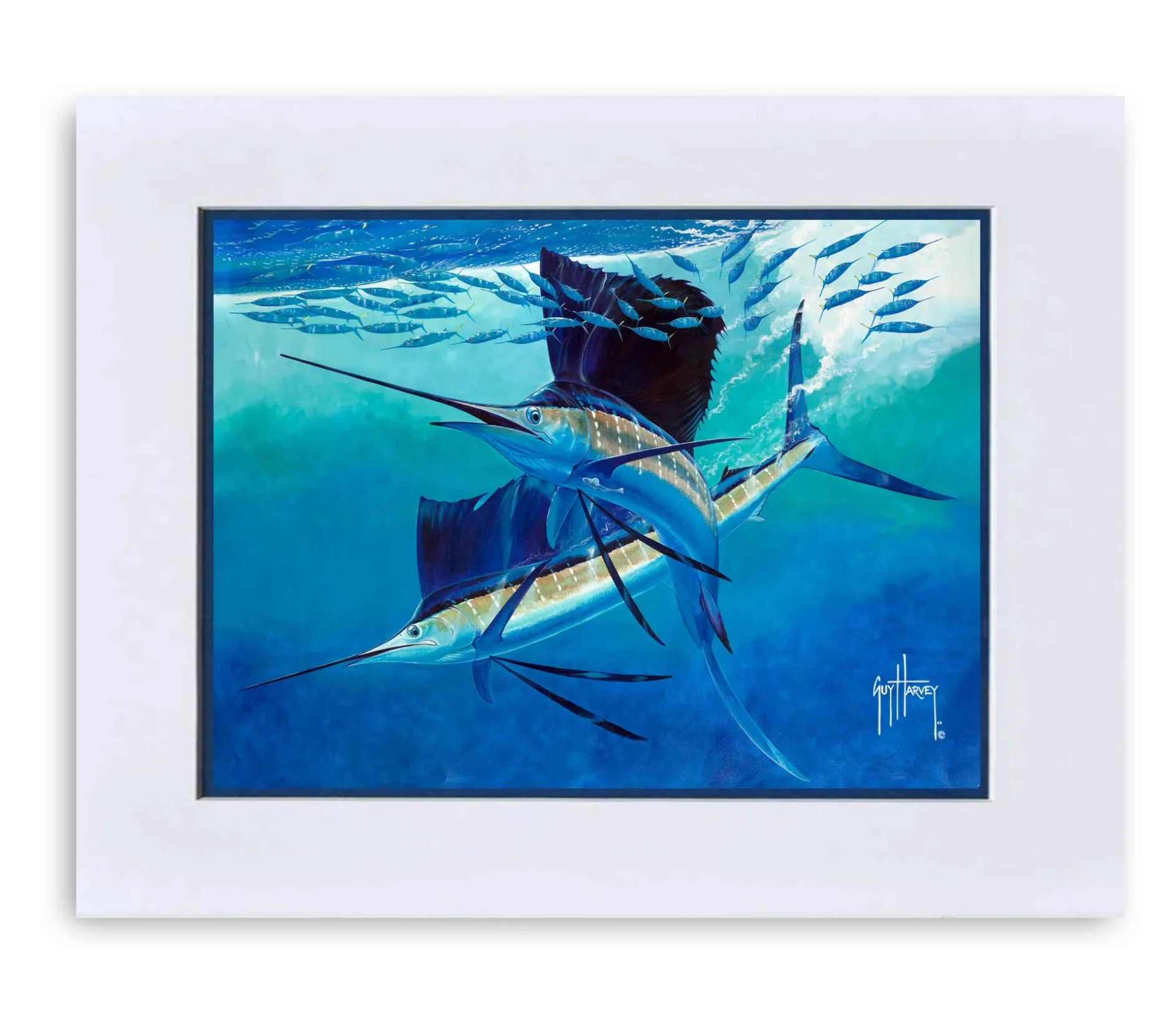 "Vela Tango" Grande Mini Print