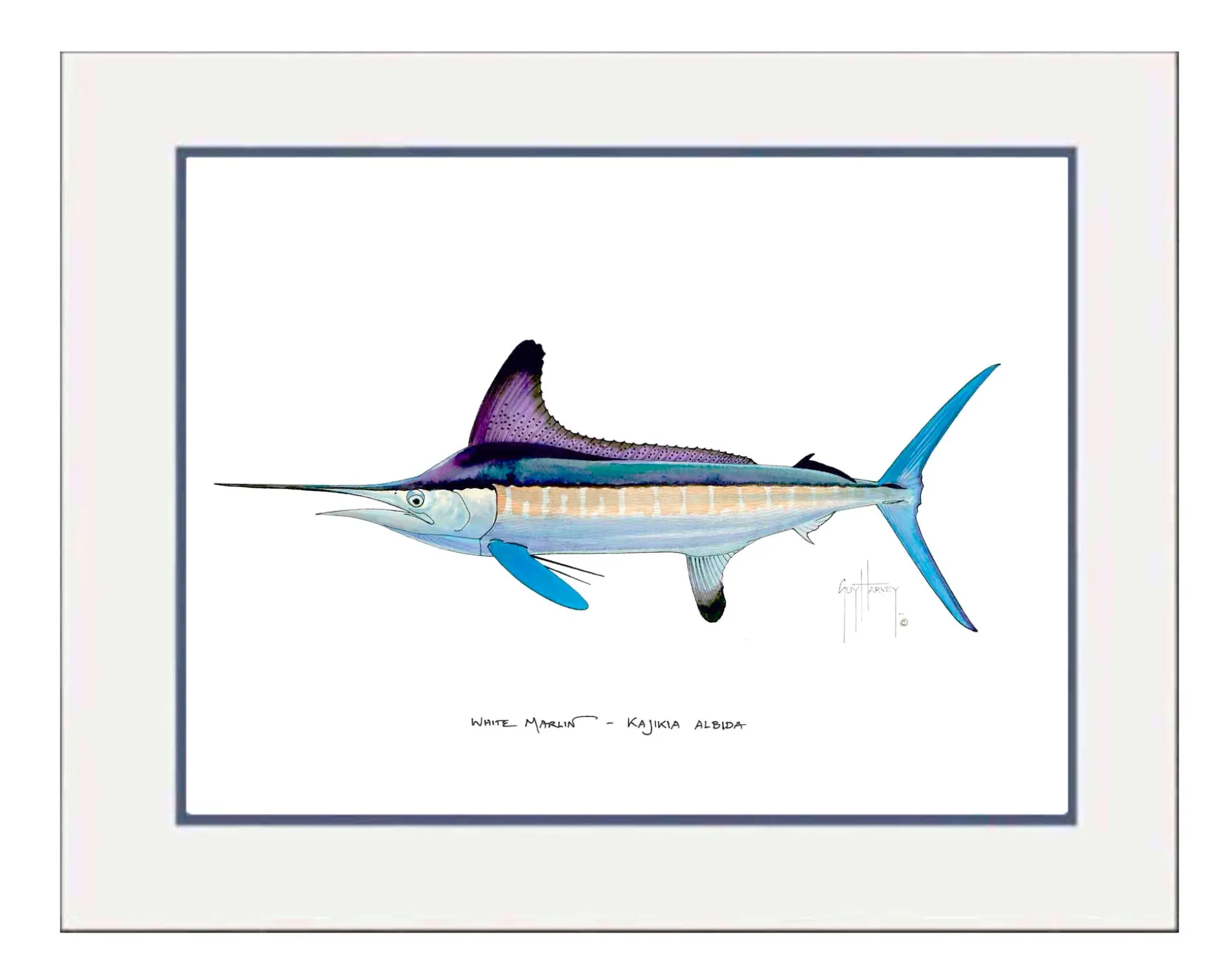 "White Marlin" Grande Mini Print
