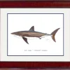 "White Shark" Grande Mini Print