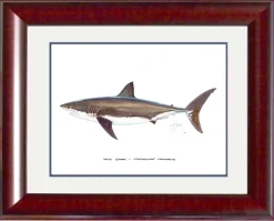 "White Shark" Grande Mini Print