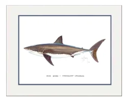 "White Shark" Grande Mini Print