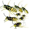 YELLOW JACKETS