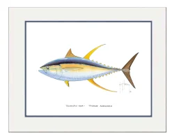 "Yellowfin Tuna" Grande Mini Print